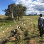 Call for Expressions of Interest from Landholders: Funding Available for Landscape Improvements