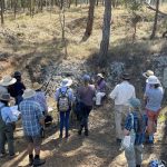 Lowland Grassy Woodland on the NSW south coast – Managing productivity and biodiversity Lowland Grassy Woodland on the NSW south coast – Managing productivity and biodiversity